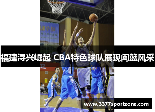 福建浔兴崛起 CBA特色球队展现闽篮风采